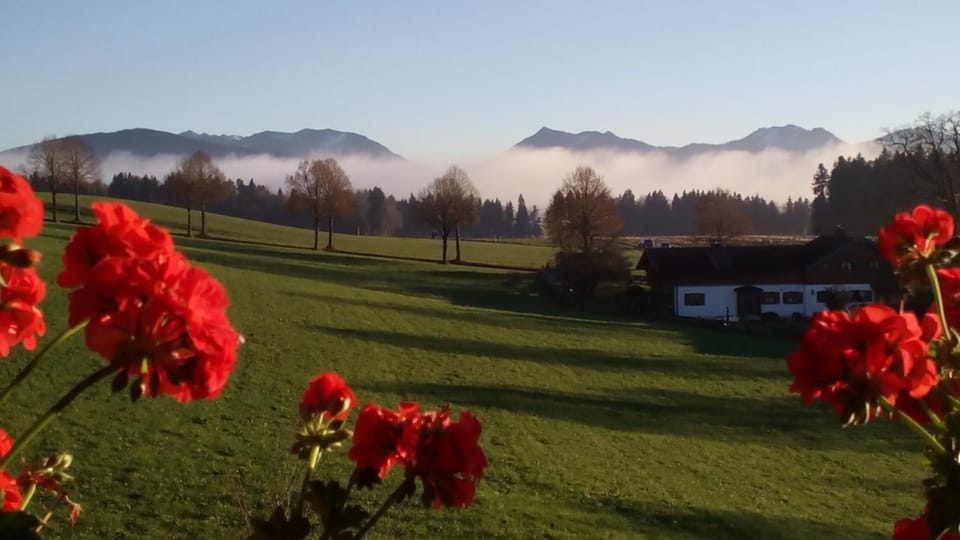 Natural landscape, Summer, Mountain view