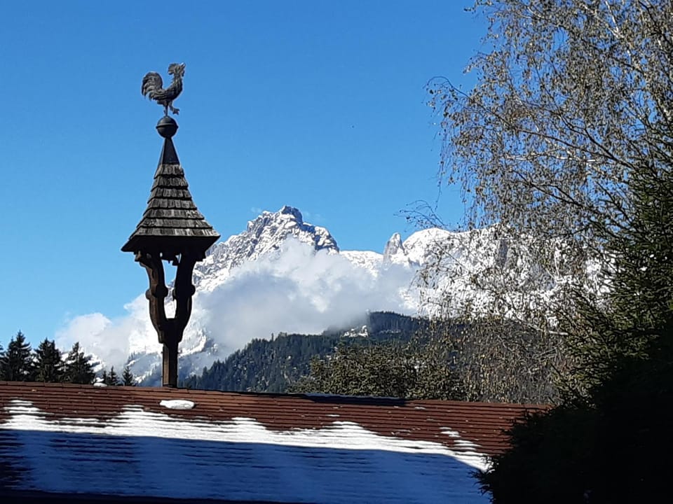 Ferienwohnung Steinberger Apartment in Salzburgerland