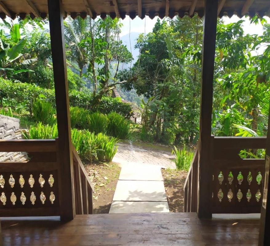 DWan Tea Mountain Side Bed and Breakfast in Bali
