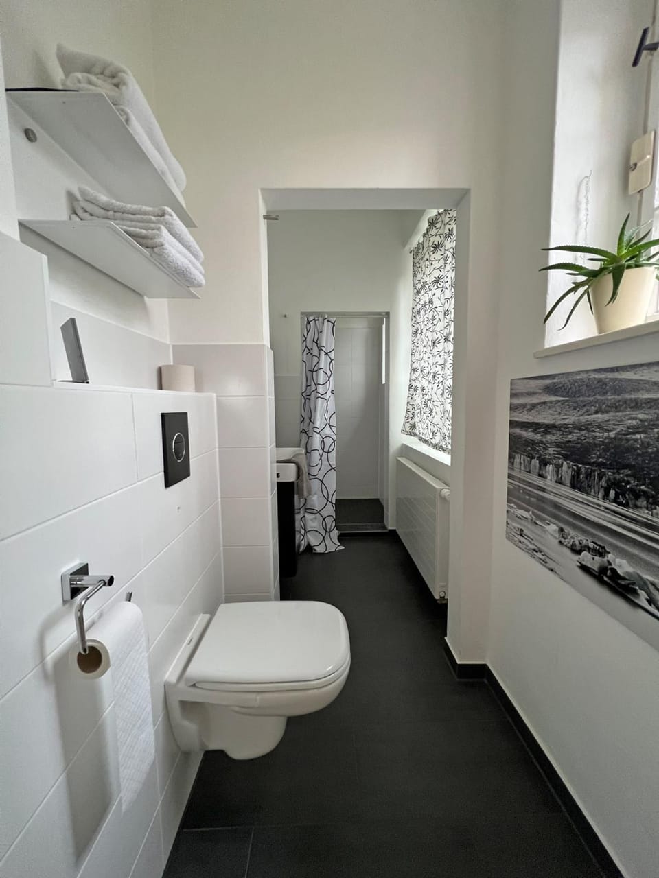 Toilet, Bathroom