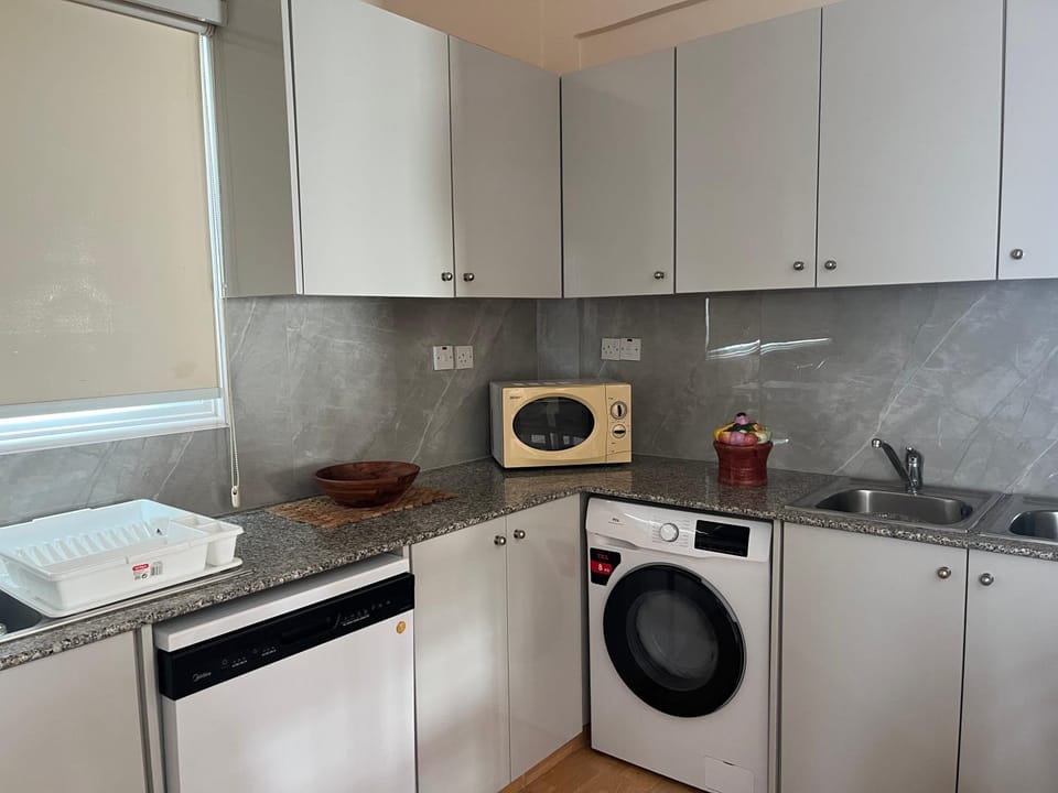 Kitchen or kitchenette, dishwasher, washing machine