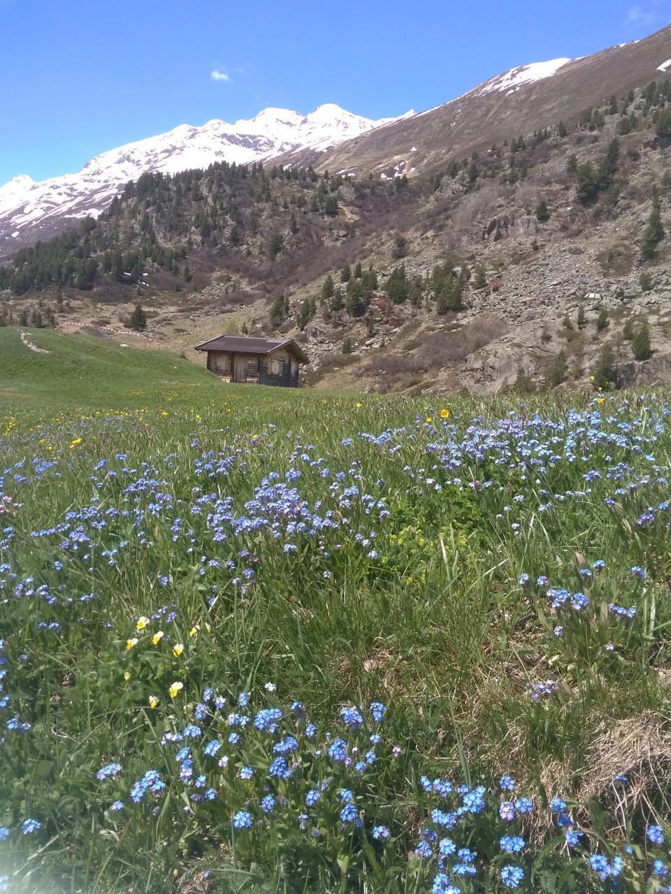 Natural landscape