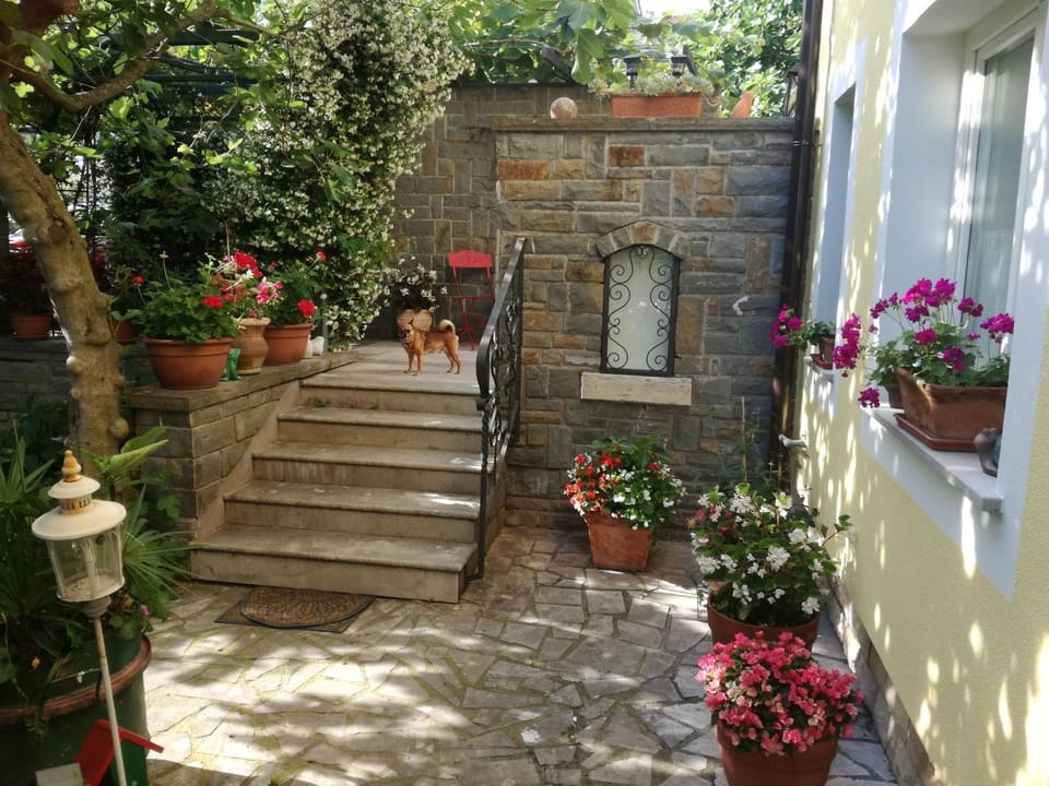 Patio, Facade/entrance