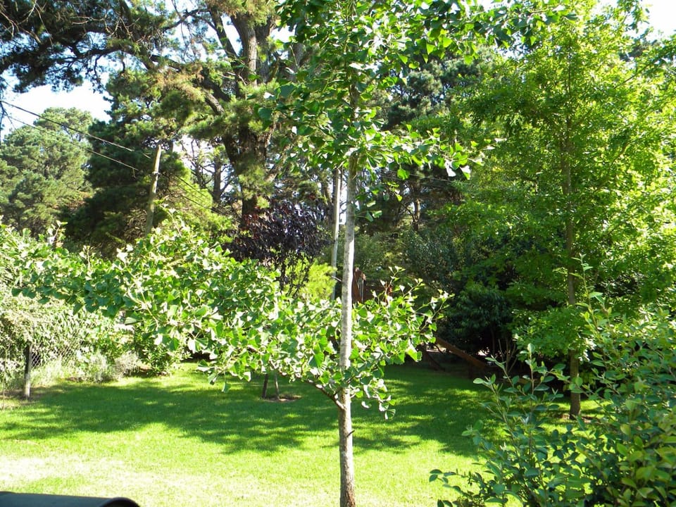 Casa los Tilos Farm Stay in Buenos Aires Province