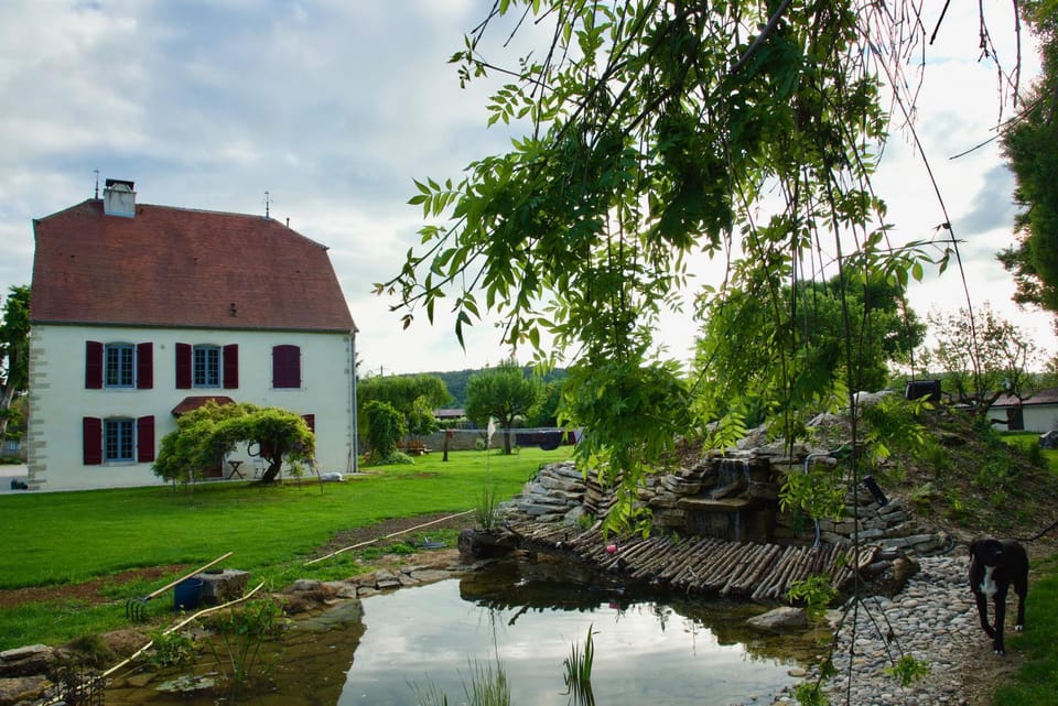 Natural landscape, Garden