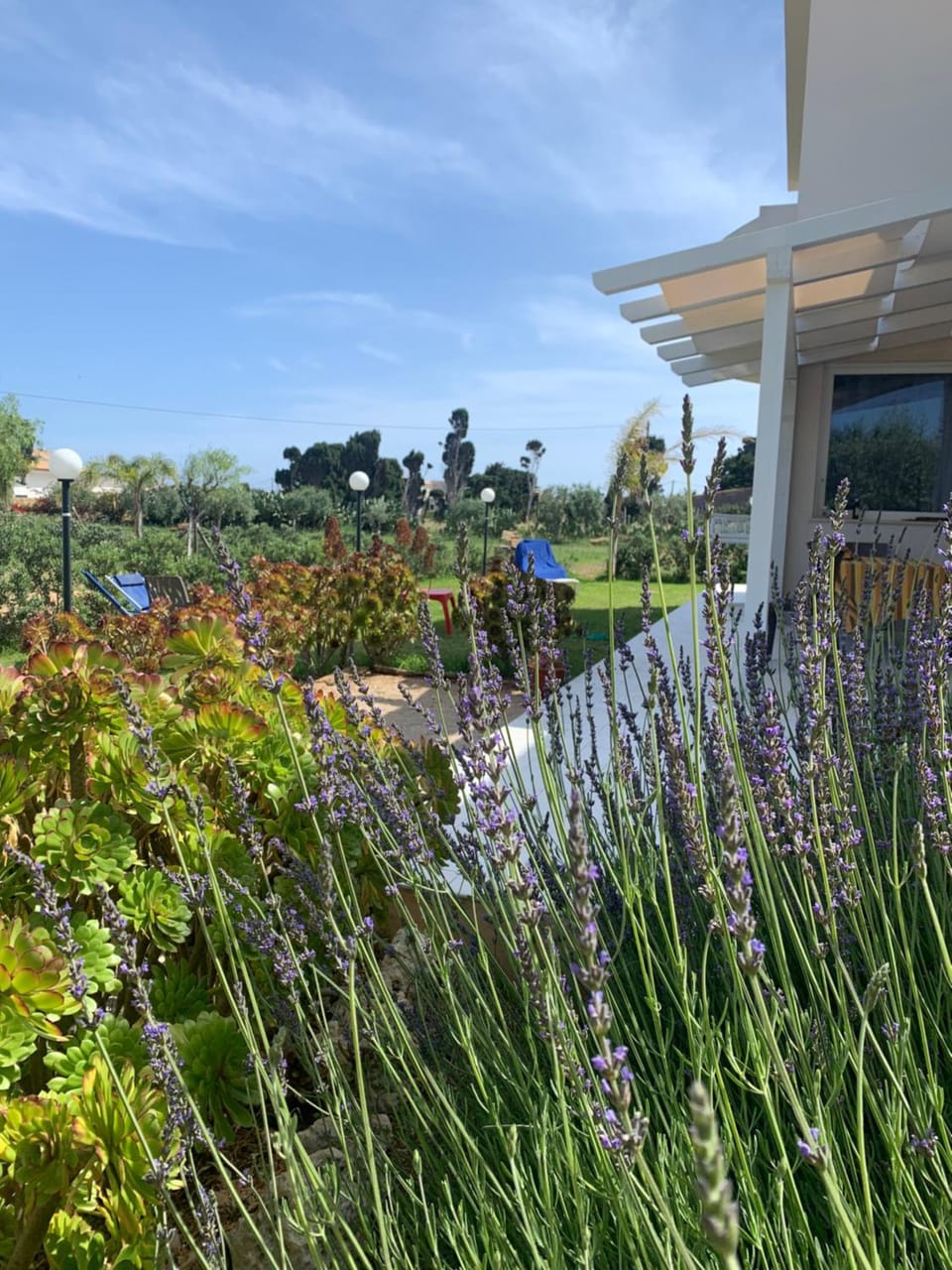 Property building, Garden