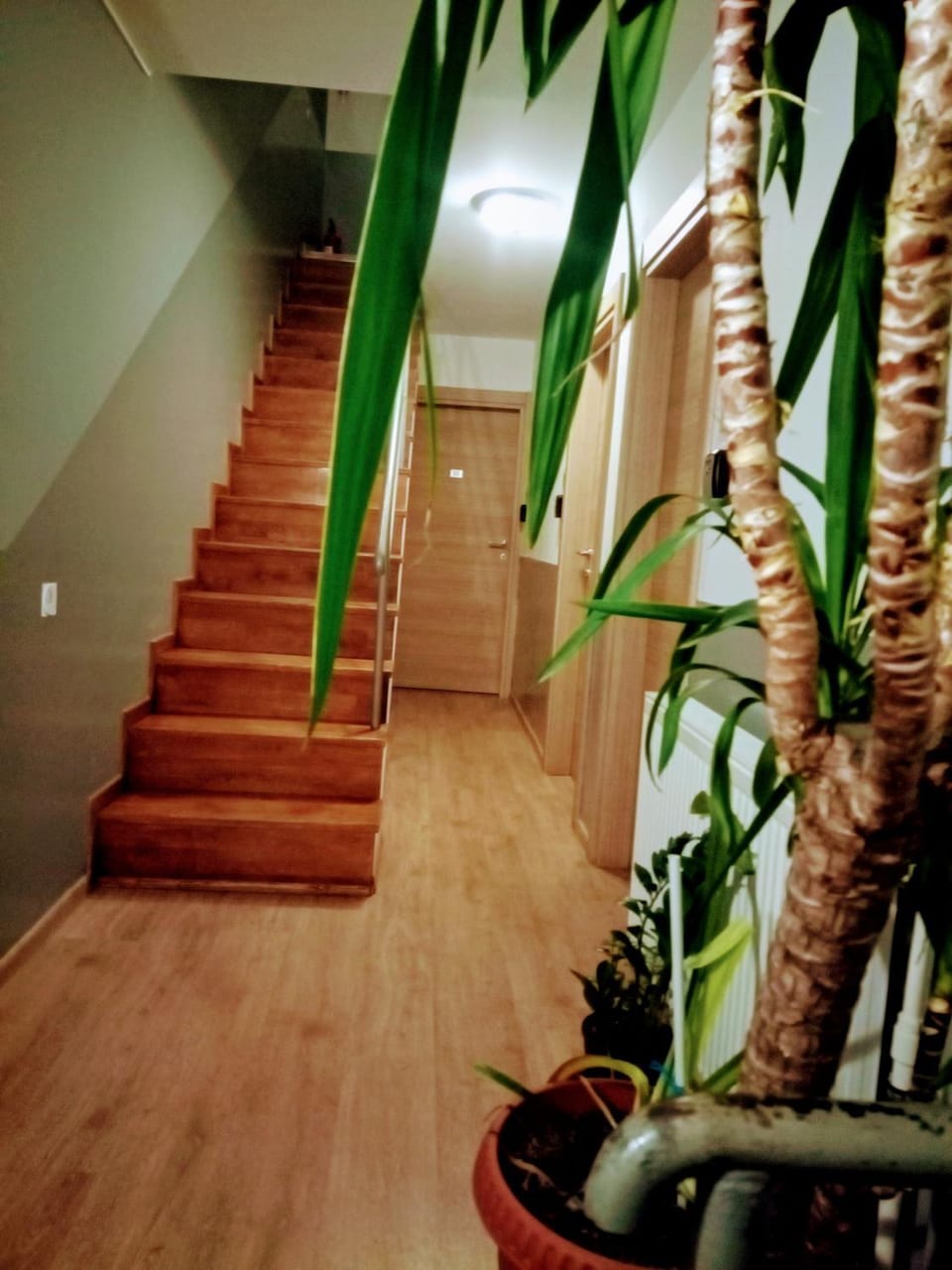 Central Guesthouse Bed and Breakfast in Bucharest