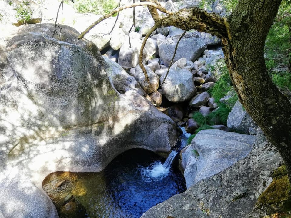 Natural landscape