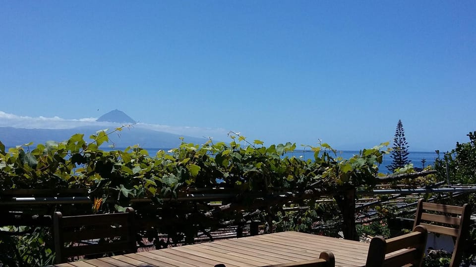 Casa do Zé - AL Country House in Azores District