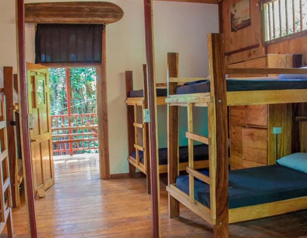bunk bed