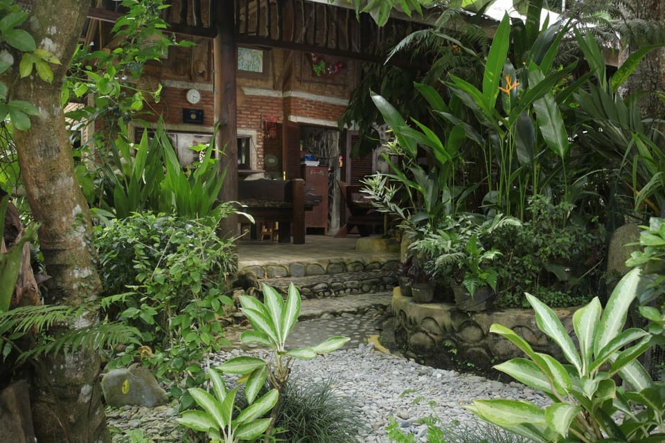 Area and facilities