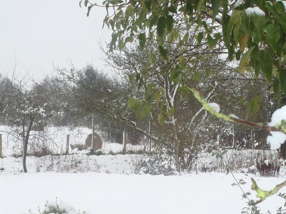 Natural landscape