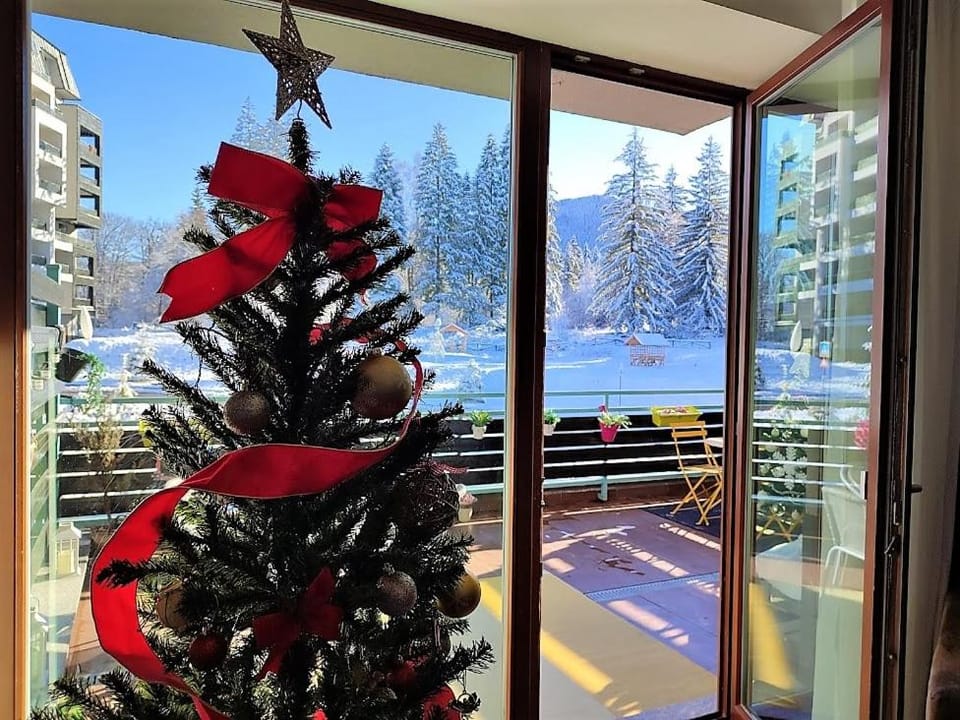 The Evergreen Nest - Silver Mountain Apartment in Brasov