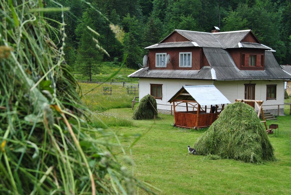 Spring, Garden, Mountain view, Street view