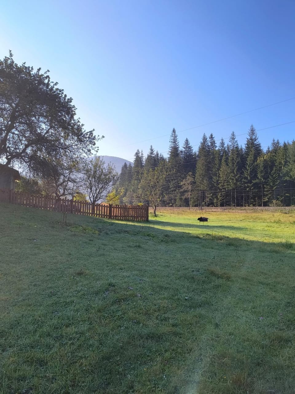 Natural landscape, Garden, Garden view, Mountain view