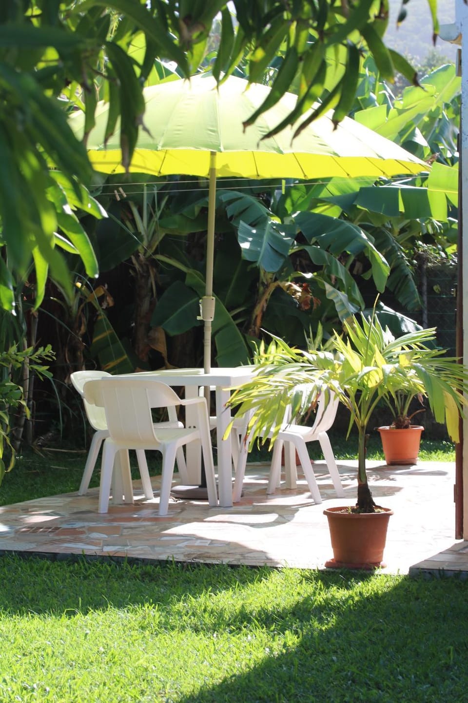 Garden view