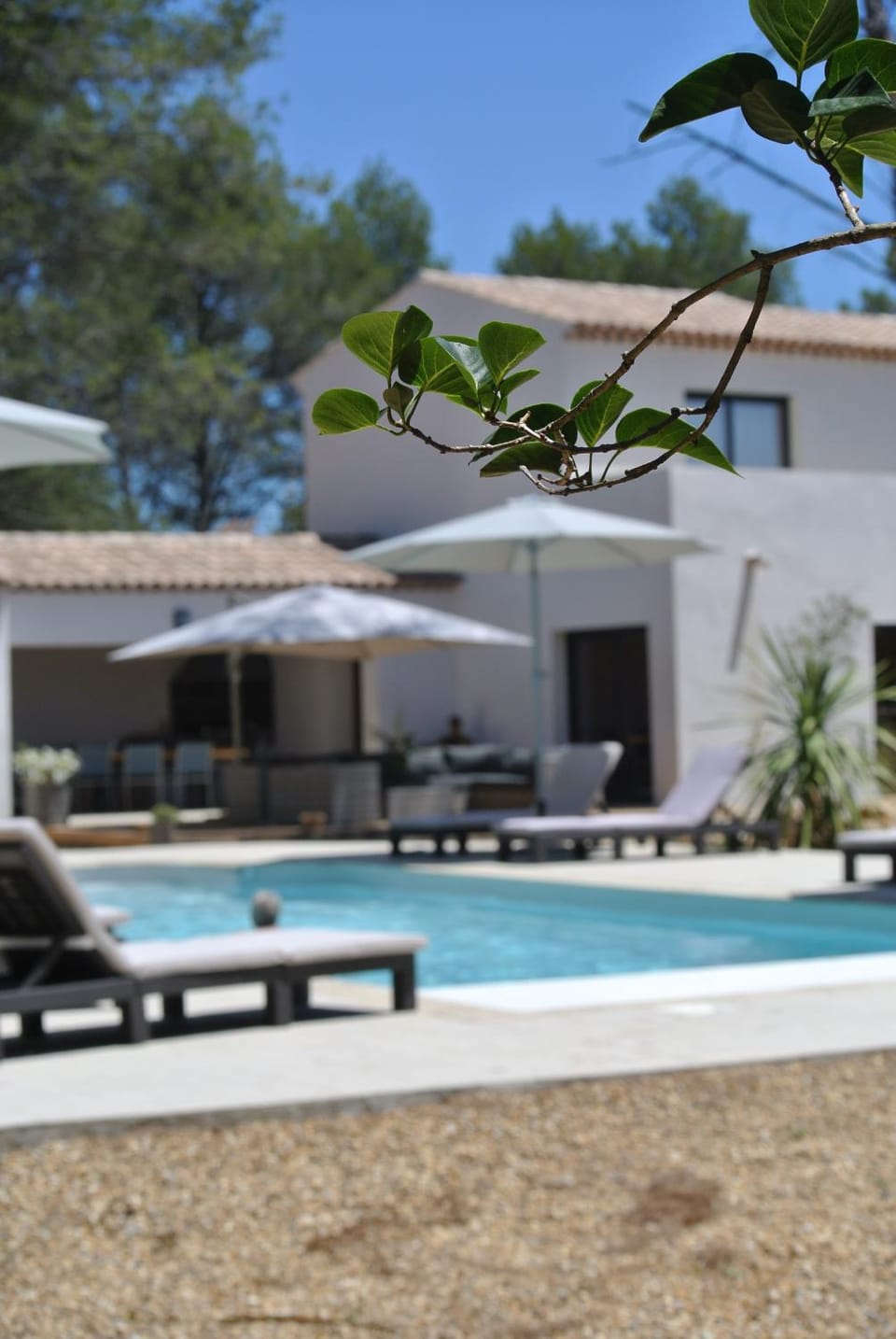 Day, Pool view, Swimming pool, sunbed