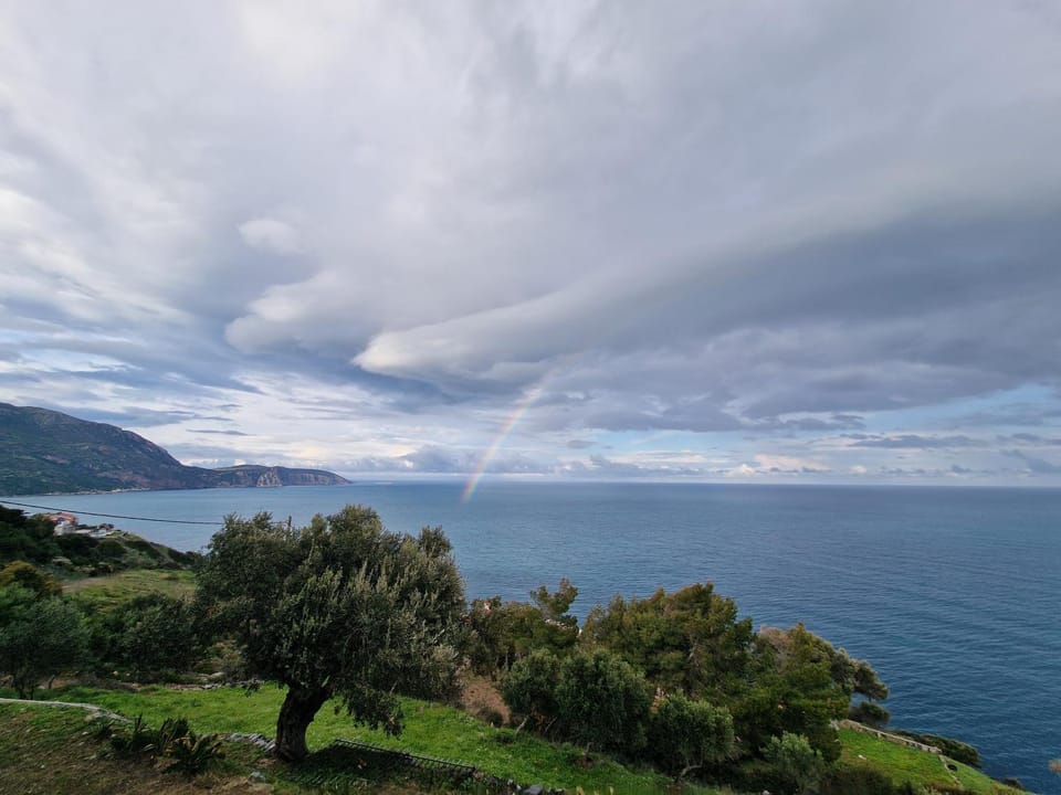 Spring, Natural landscape, Sea view