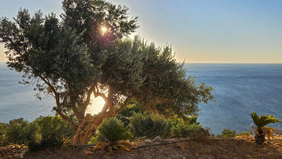 Summer, View (from property/room), Sea view, Sunrise