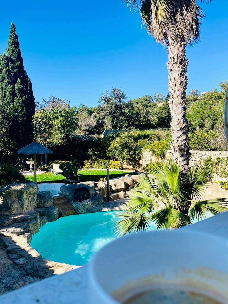 Garden, Pool view, Swimming pool, Swimming pool