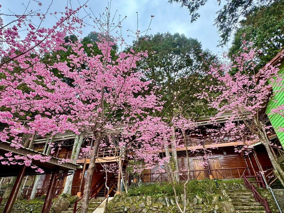 Da Kuan Peach Farm Resort 達觀農場民宿 Vacation rental in Taiwan, Province of China