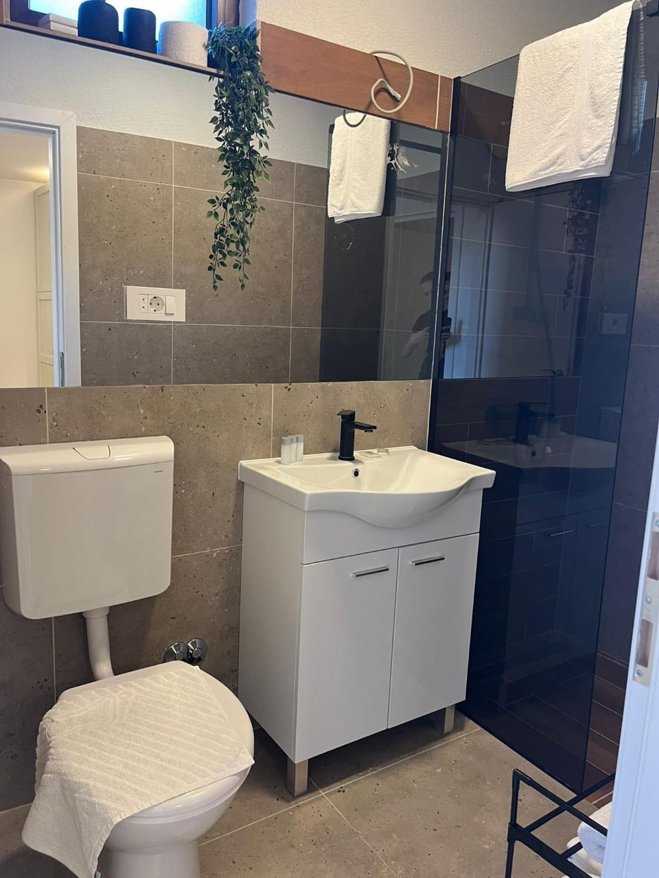 Toilet, TV and multimedia