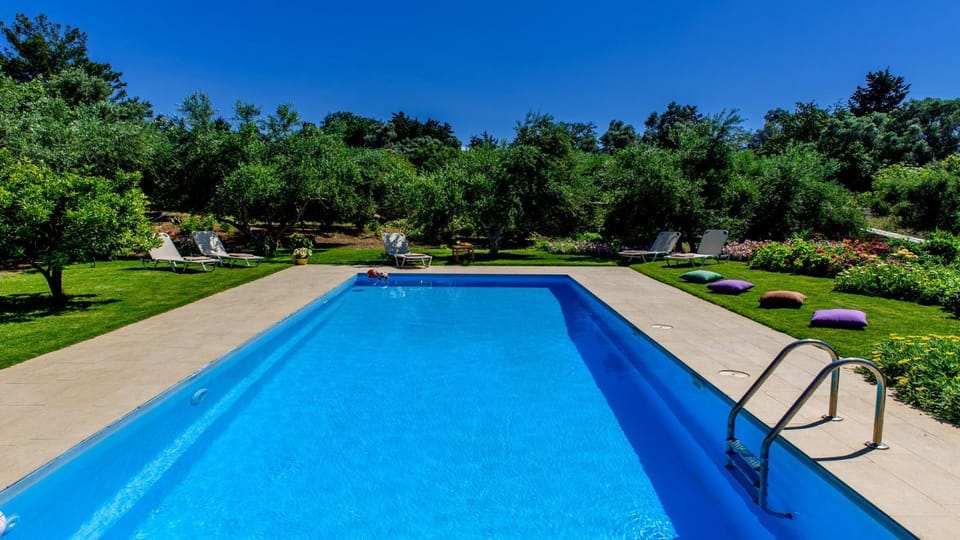 Garden, Pool view, Swimming pool