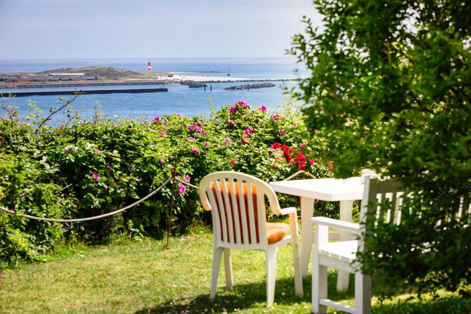Garden, Sea view