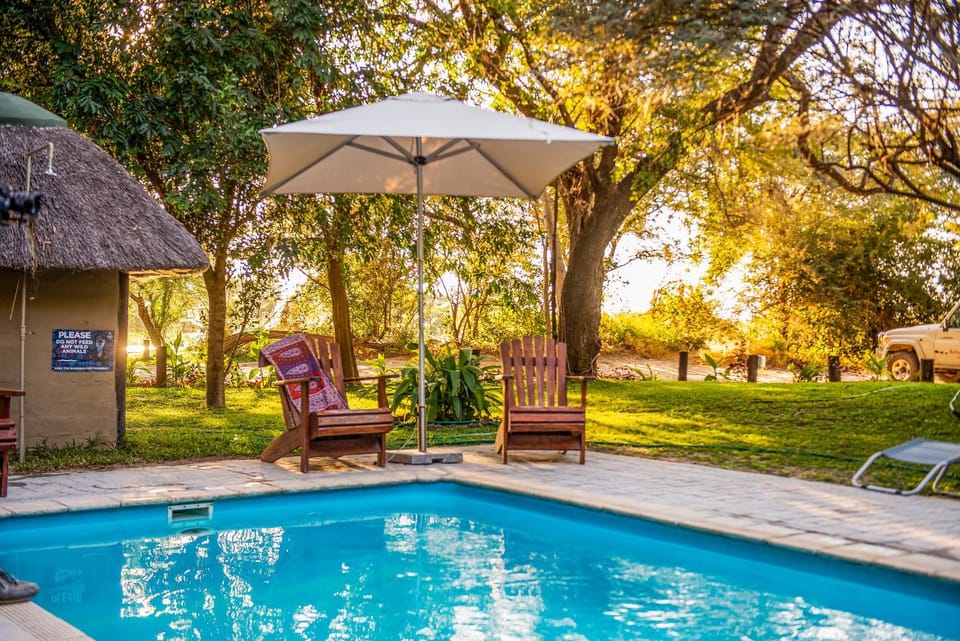 Garden view, Swimming pool, sunbed