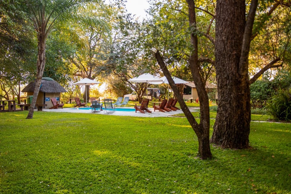 Day, Garden, Garden, Garden view, Pool view, Swimming pool, sunbed