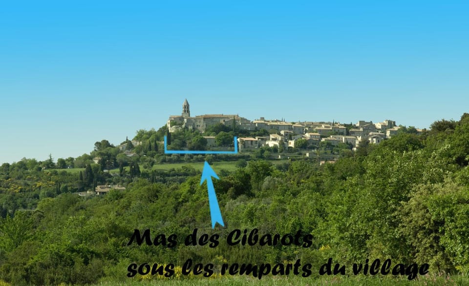 Bird's eye view, View (from property/room)