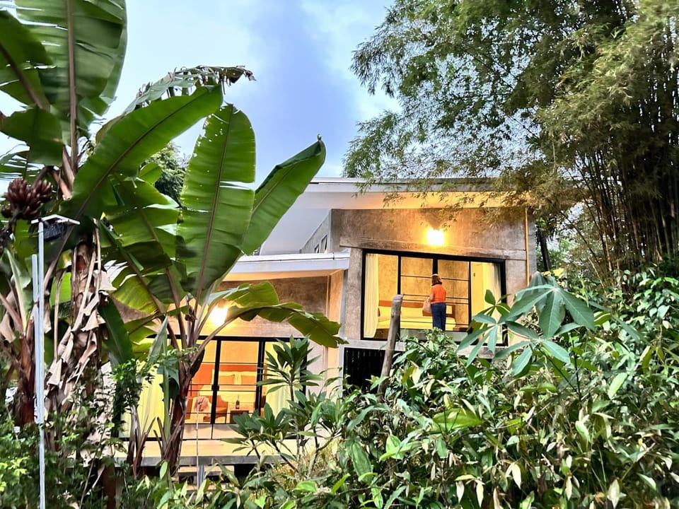 Property building, Garden, Garden view