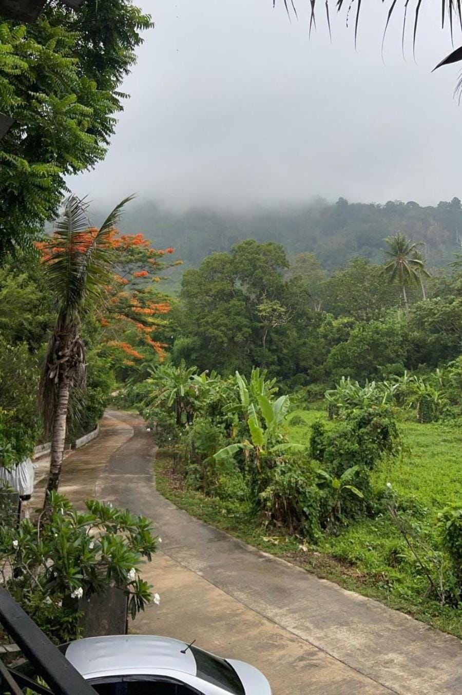Neighbourhood, Natural landscape, Garden, Garden view, Garden view, Landmark view, Mountain view, Street view, Quiet street view