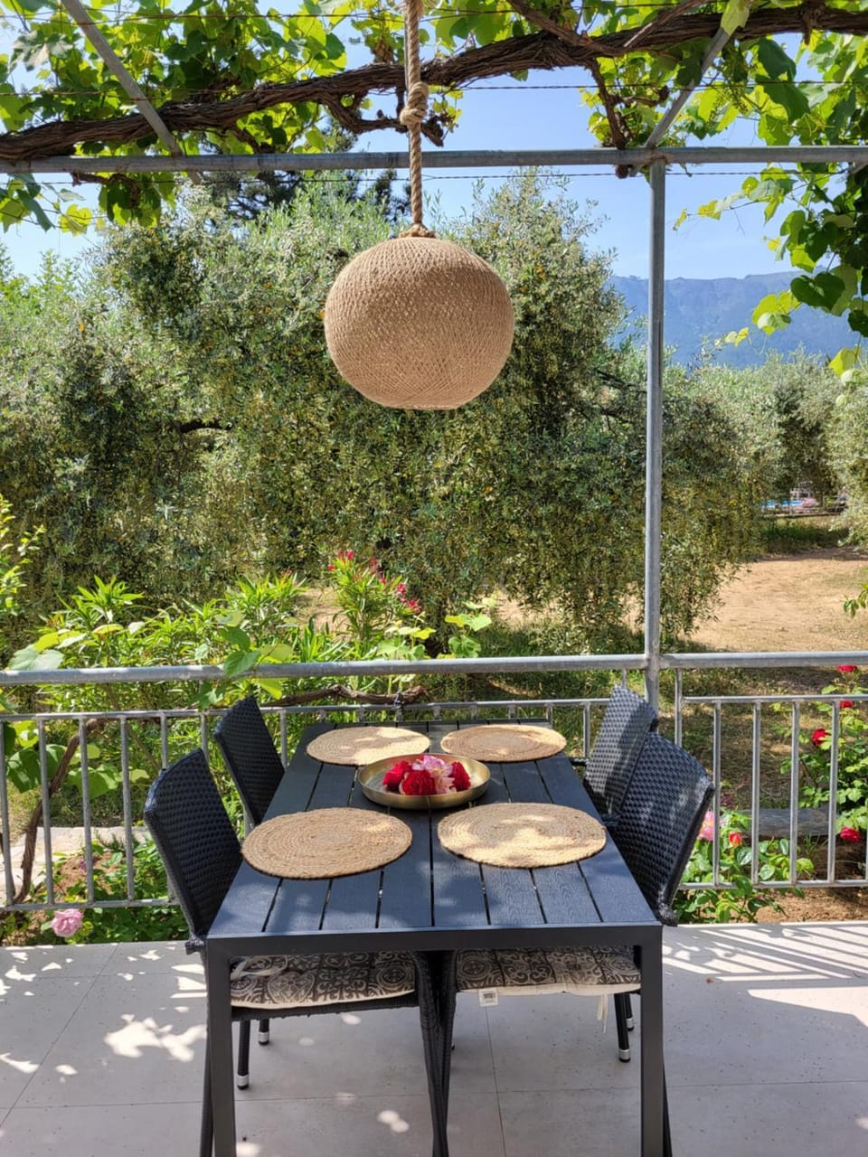 Ioannis Houses - gemütliches Ferienhaus im Olivenhain House in Thasos