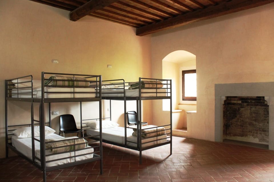 Bed, Photo of the whole room, Bedroom, bunk bed