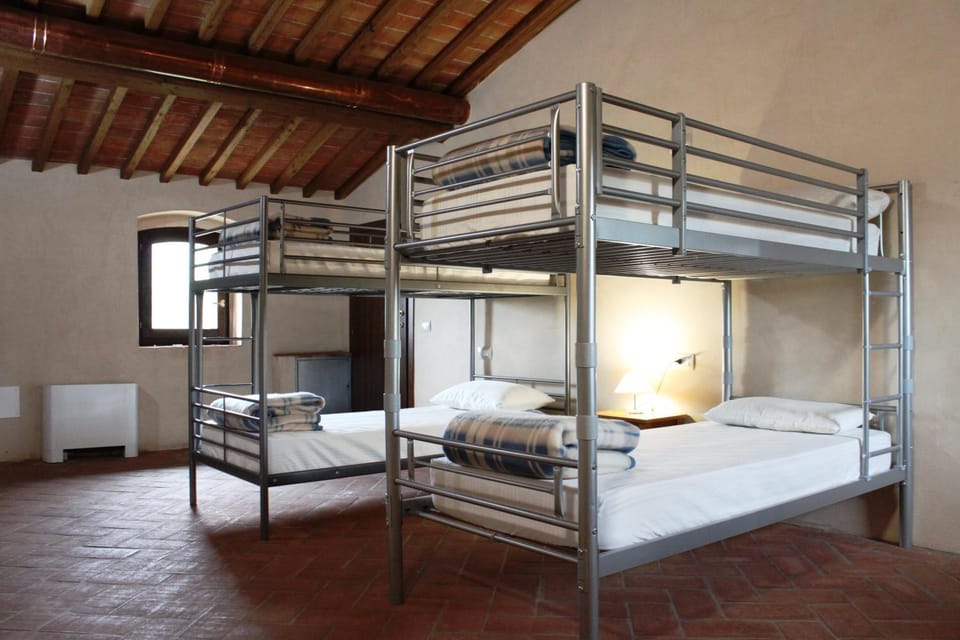 Bed, Photo of the whole room, Bedroom, bunk bed