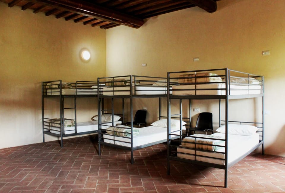 Bed, Photo of the whole room, Bedroom, bunk bed
