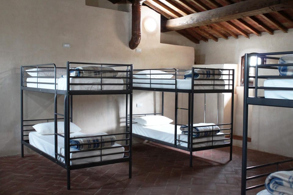 Bed, Photo of the whole room, Bedroom, bunk bed