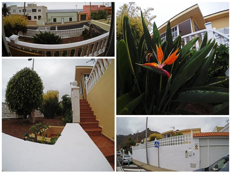Garden, Balcony/Terrace, Garden view, Sea view, Street view