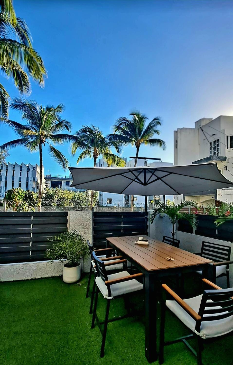 Patio, Day, Garden, sunbed