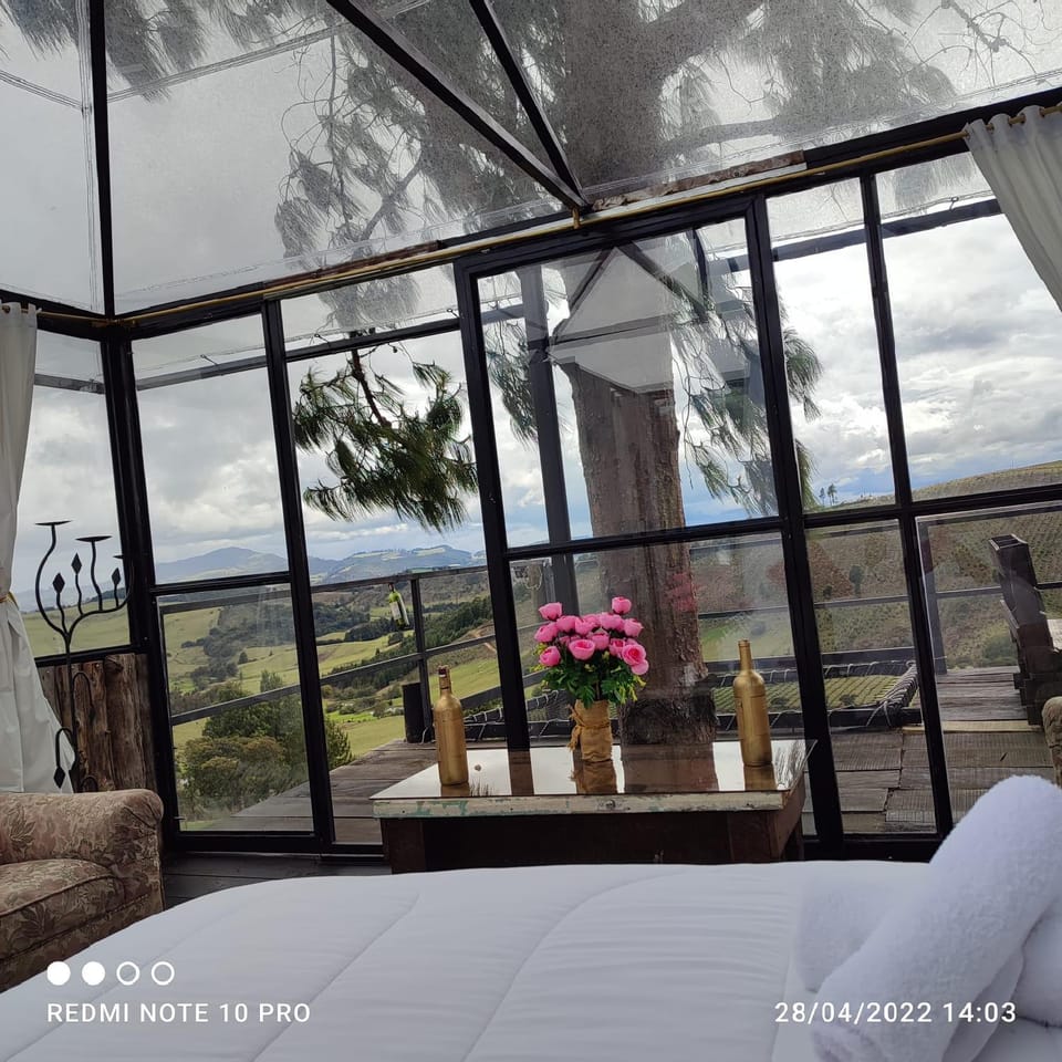 Natural landscape, View (from property/room), Mountain view