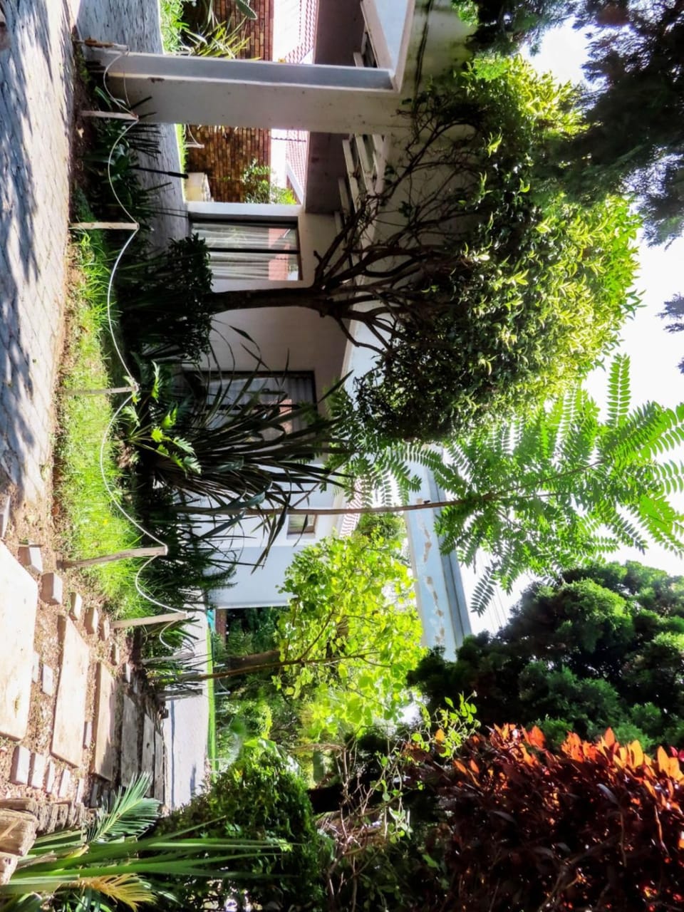 Corgi Guest House Bed and Breakfast in Randburg