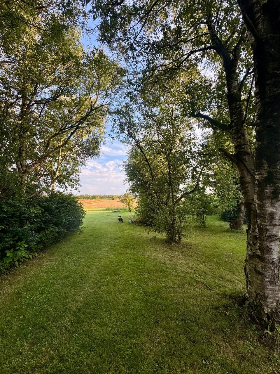 Langagergaard B&B - Thy Bed and Breakfast in Denmark