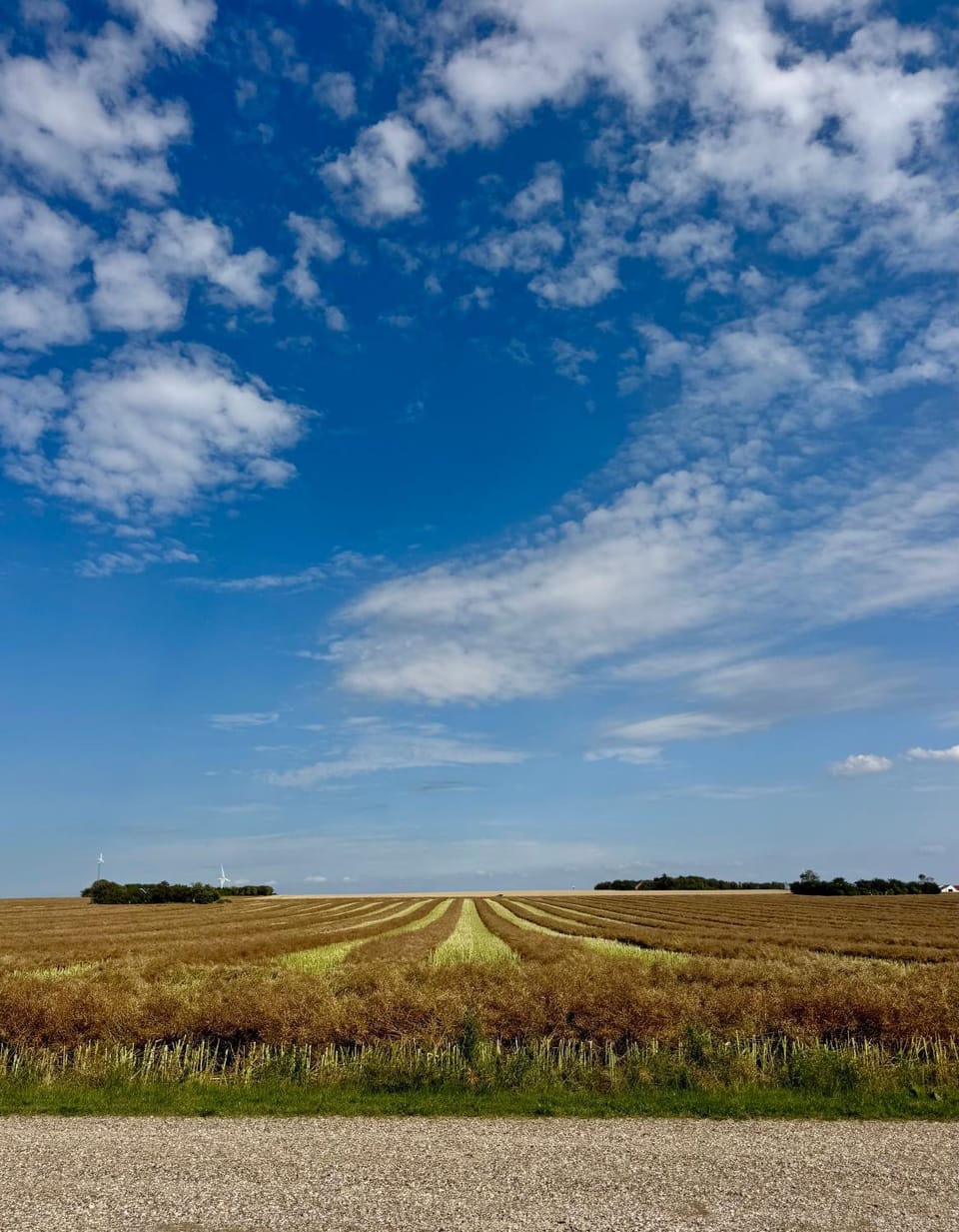 Langagergaard B&B - Thy Bed and Breakfast in Denmark