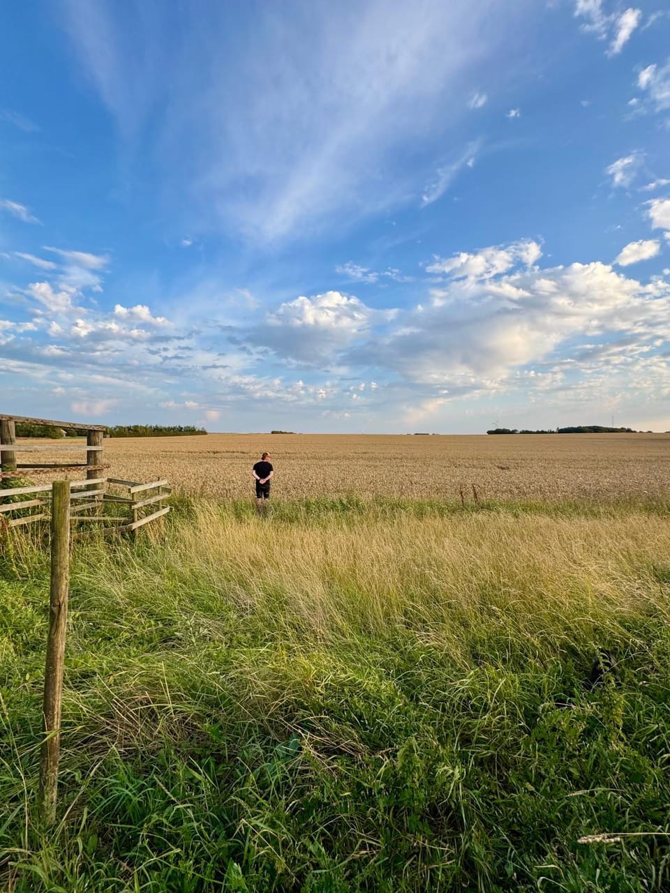 Langagergaard B&B - Thy Bed and Breakfast in Denmark