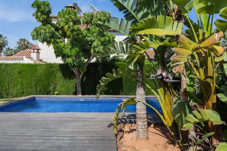 Garden, Pool view, Swimming pool