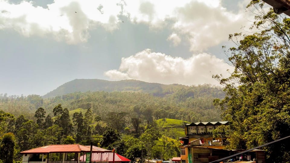 Mountain view