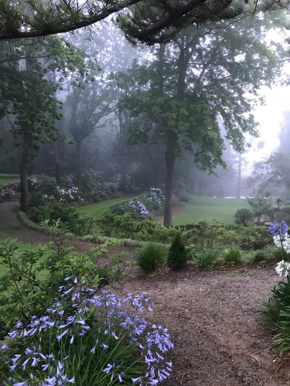 Garden view