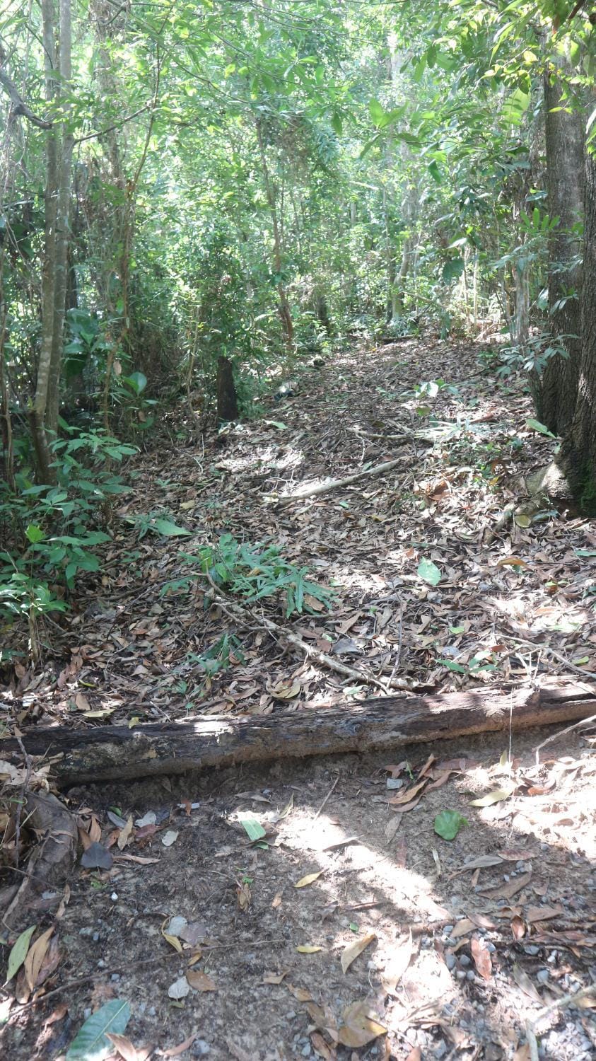 Tampat do Aman Nature lodge in Sabah