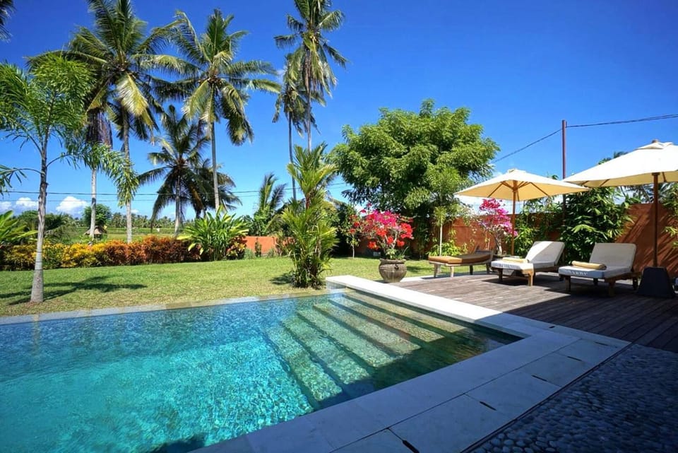 Garden, Swimming pool